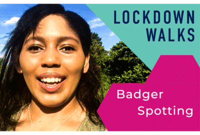 How Can I Spot A Badger?