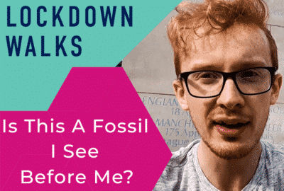 Is This A Fossil I See Before Me?